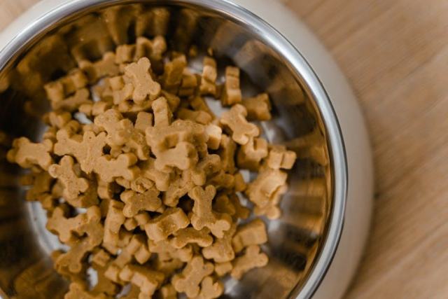 Nourrir son chien ou son chat âgé : adapter l'alimentation au grand âge Nourrir son chien ou son chat âgé : adapter l'alimentation au grand âge