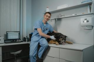 Antiparasitaire chien et chat : bien choisir et bien utiliser