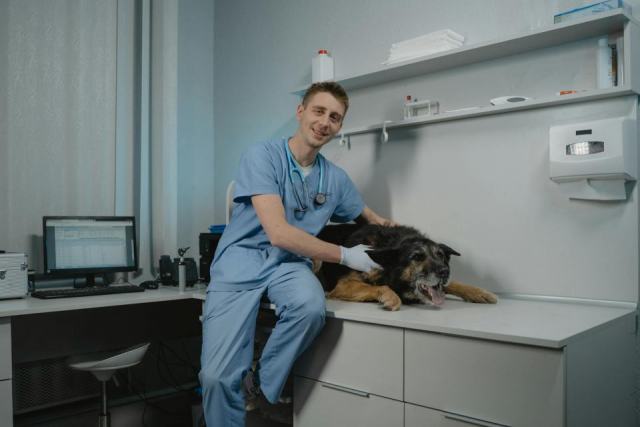 Protéger votre chien et votre chat des parasites : guide complet Protéger votre chien et votre chat des parasites : guide complet