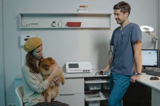 Premiers secours animaux : que faire en cas d'urgence vétérinaire
