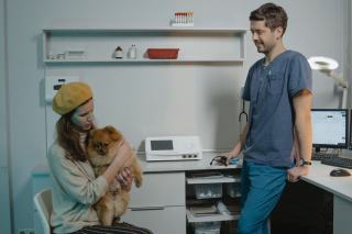 Vétérinaire passant un lecteur sur le cou d'un chien